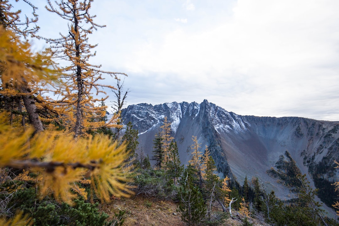 The Art of Slow Travel: Embracing Nature’s Pace